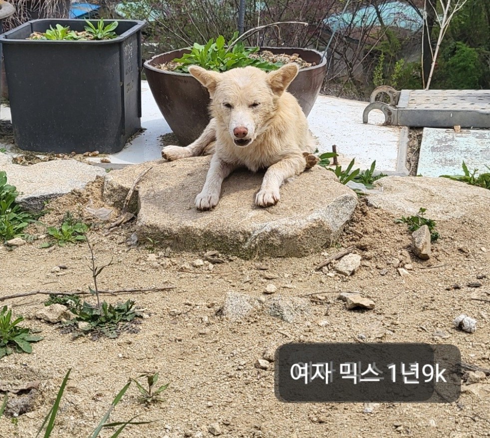 옥천동물병원_443443202400345